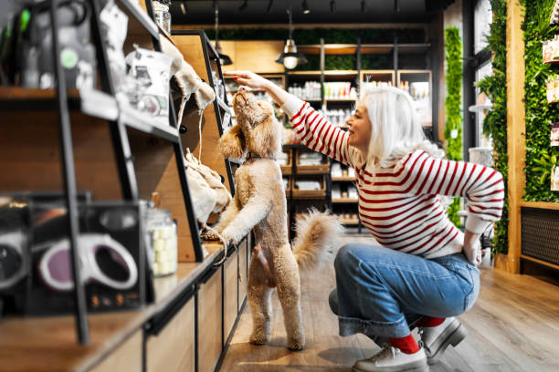 How to Play PetSmart and Petco Against Each Other (and Chewy) for Rock-Bottom Pet Food Prices